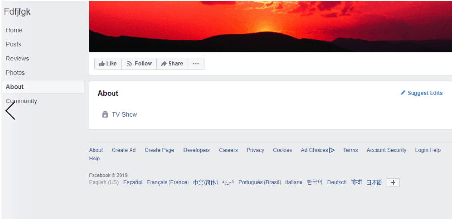 Facebook Advertising